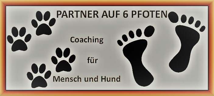 Mobile Hundeschule Partner Auf Sechs Pfoten Hundefuhrerschein Sachkunde D O Q Test